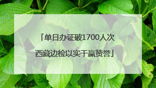单日办证破1700人次 西藏边检以实干赢赞誉