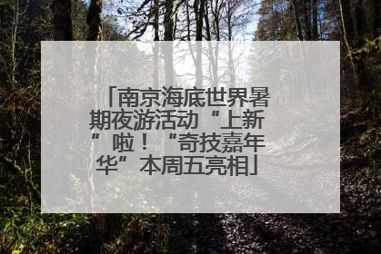 南京海底世界暑期夜游活动“上新”啦！“奇技嘉年华”本周五亮相