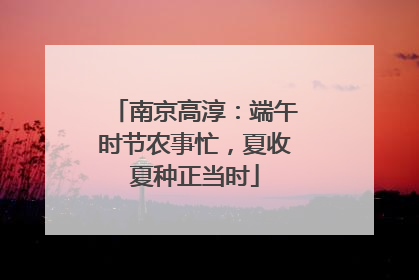 南京高淳：端午时节农事忙，夏收夏种正当时