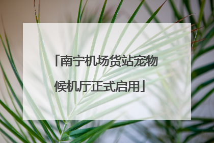 南宁机场货站宠物候机厅正式启用