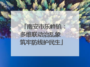 南安市乐峰镇：多维联动治乱象 筑牢防线护民生