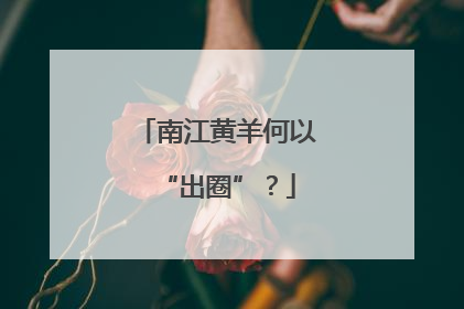 南江黄羊何以“出圈”？