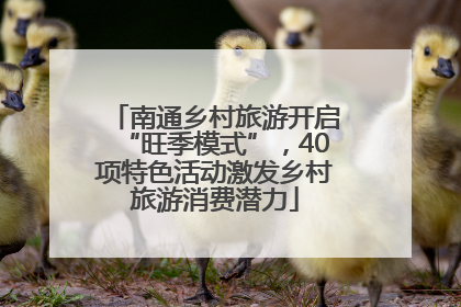 南通乡村旅游开启“旺季模式”，40项特色活动激发乡村旅游消费潜力
