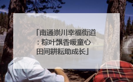 南通崇川幸福街道：粽叶飘香暖童心 田间耕耘助成长