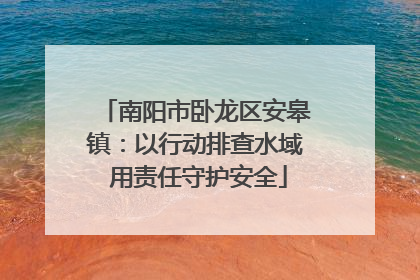 南阳市卧龙区安皋镇：以行动排查水域 用责任守护安全