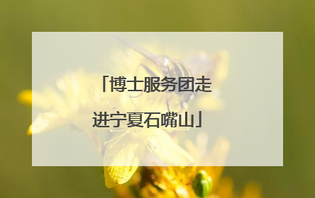 博士服务团走进宁夏石嘴山