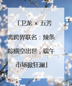 卫龙 × 五芳斋跨界联名：辣条粽横空出世，端午市场掀狂澜