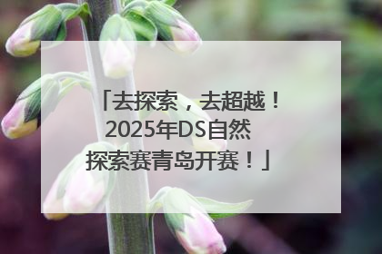 去探索，去超越！2025年DS自然探索赛青岛开赛！