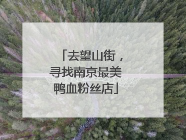 去望山街，寻找南京最美鸭血粉丝店