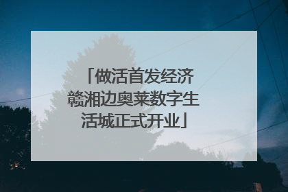 做活首发经济 赣湘边奥莱数字生活城正式开业