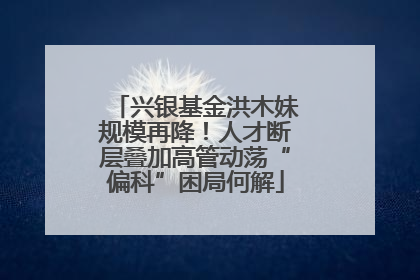 兴银基金洪木妹规模再降！人才断层叠加高管动荡“偏科”困局何解