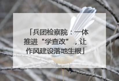 兵团检察院：一体推进“学查改”，让作风建设落地生根
