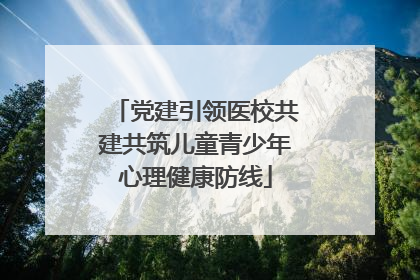 党建引领医校共建共筑儿童青少年心理健康防线