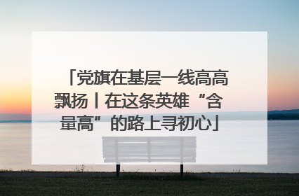 党旗在基层一线高高飘扬丨在这条英雄“含量高”的路上寻初心