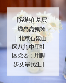 党旗在基层一线高高飘扬｜北京石景山区八角中里社区党委：用脚步丈量民生