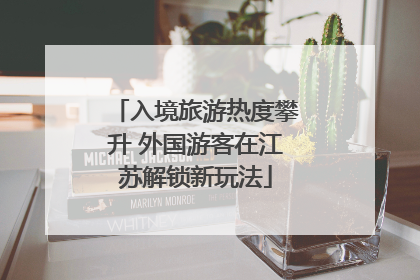 入境旅游热度攀升 外国游客在江苏解锁新玩法