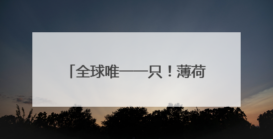全球唯一一只！薄荷色LABUBU以108万元拍卖成交
