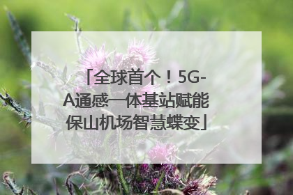 全球首个！5G-A通感一体基站赋能保山机场智慧蝶变