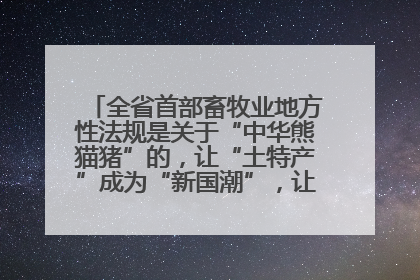 全省首部畜牧业地方性法规是关于“中华熊猫猪”的，让“土特产”成为“新国潮”，让“农产品”升格为“城市IP”
