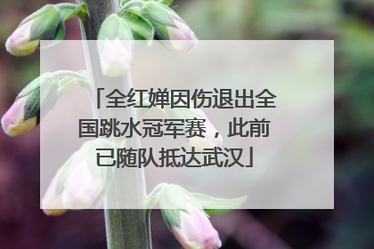 全红婵因伤退出全国跳水冠军赛，此前已随队抵达武汉