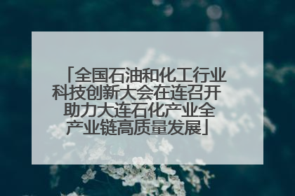 全国石油和化工行业科技创新大会在连召开 助力大连石化产业全产业链高质量发展
