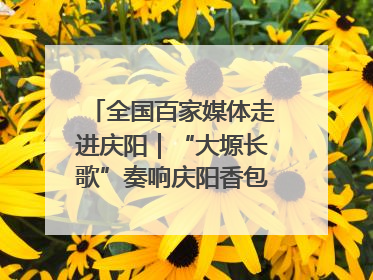 全国百家媒体走进庆阳｜“大塬长歌”奏响庆阳香包民俗文化节序曲