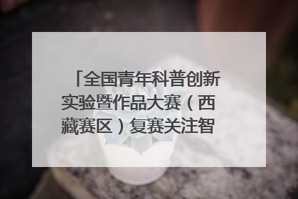 全国青年科普创新实验暨作品大赛（西藏赛区）复赛关注智慧环保等主题