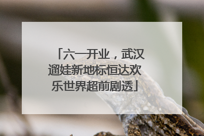 六一开业，武汉遛娃新地标恒达欢乐世界超前剧透