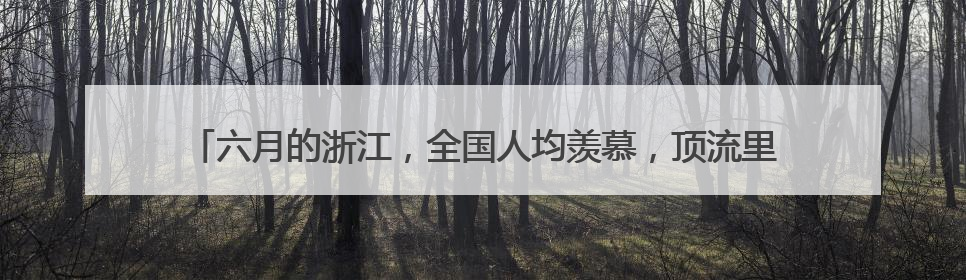 六月的浙江，全国人均羡慕，顶流里的仙居，“杨梅西施”相约早鸟价