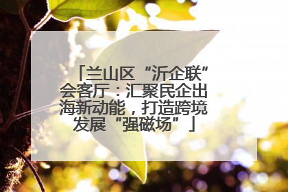 兰山区“沂企联”会客厅：汇聚民企出海新动能，打造跨境发展“强磁场”