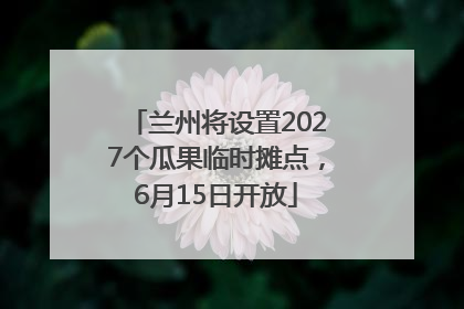 兰州将设置2027个瓜果临时摊点，6月15日开放