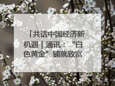 共话中国经济新机遇｜通讯：“白色黄金”铺就致富路——中国技术助力科特迪瓦橡胶产业增产增效
