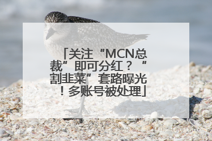 关注“MCN总裁”即可分红？“割韭菜”套路曝光！多账号被处理