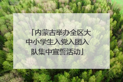 内蒙古举办全区大中小学生入党入团入队集中宣誓活动