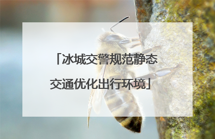冰城交警规范静态交通优化出行环境