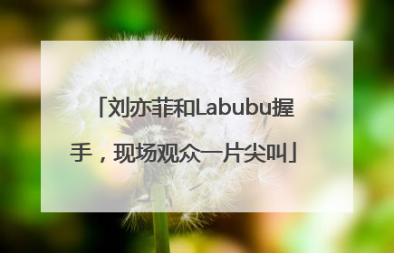 刘亦菲和Labubu握手，现场观众一片尖叫