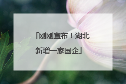 刚刚宣布！湖北新增一家国企