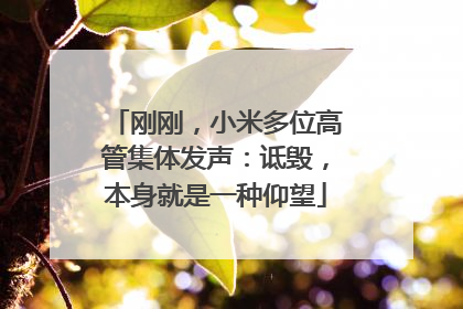 刚刚，小米多位高管集体发声：诋毁，本身就是一种仰望