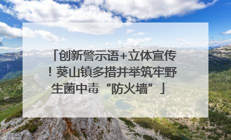 创新警示语+立体宣传！葵山镇多措并举筑牢野生菌中毒“防火墙”