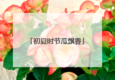 初夏时节瓜飘香
