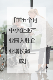 前五个月中小企业产业园入驻企业增长超三成