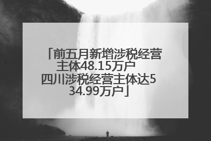 前五月新增涉税经营主体48.15万户 四川涉税经营主体达534.99万户