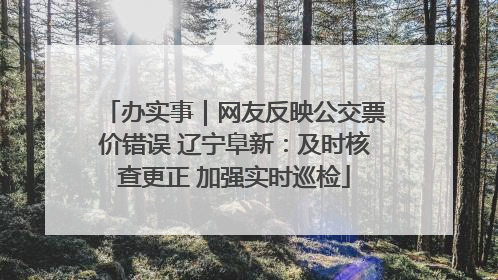 办实事｜网友反映公交票价错误 辽宁阜新：及时核查更正 加强实时巡检
