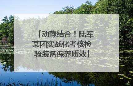 动静结合！陆军某团实战化考核检验装备保养质效