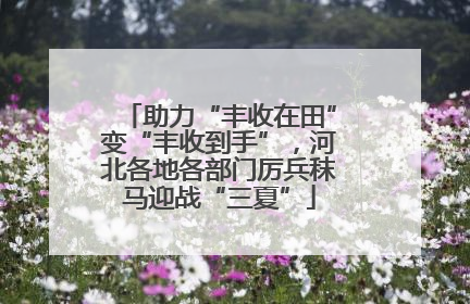 助力“丰收在田”变“丰收到手”，河北各地各部门厉兵秣马迎战“三夏”