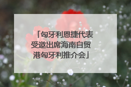 匈牙利恩捷代表受邀出席海南自贸港匈牙利推介会