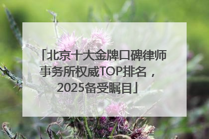 北京十大金牌口碑律师事务所权威TOP排名，2025备受瞩目