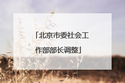 北京市委社会工作部部长调整