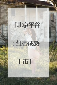 北京平谷：红杏成熟上市