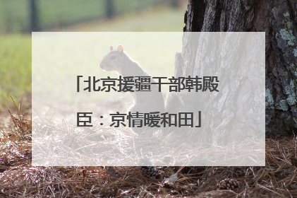 北京援疆干部韩殿臣：京情暖和田